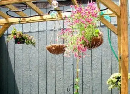 Hanging baskets with pink and yellow flowers suspended from a wooden pergola structure against a