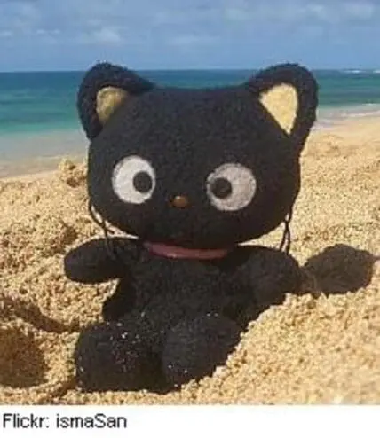 Black cat plush toy sitting on beach sand with ocean in background