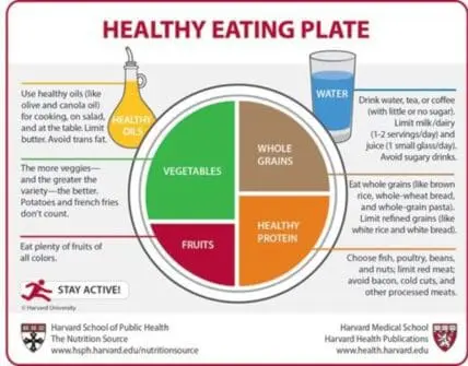 Harvard's Healthy Eating Plate showing food groups, hydration, and lifestyle recommendations
