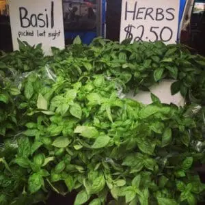 herbs