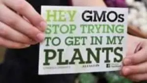 Person holding protest sign about GMOs and plants
