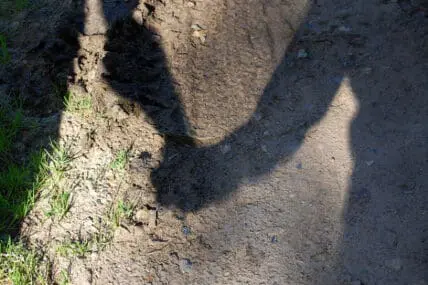 Shadow of people holding hands