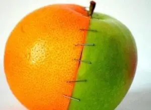 Half orange, half green apple fruit sewn together with red thread