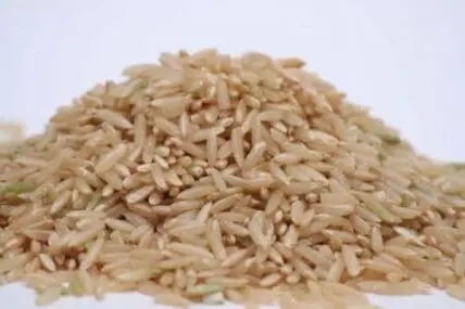 A pile of uncooked brown rice grains on a white background