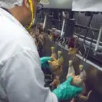 inspection