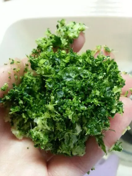 juice pulp