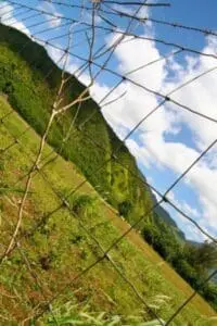 kauai farm