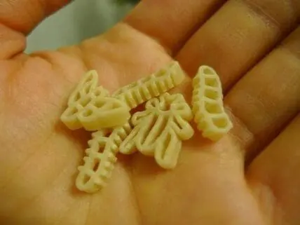 Homemade pasta shapes made from whole grain dough held in someone's palm