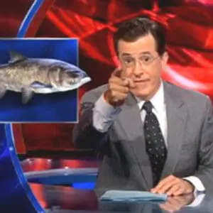 Man in suit pointing at image of Asian carp on television set