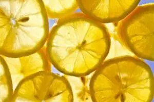 Backlit lemon slices arranged closely together against a blue sky
