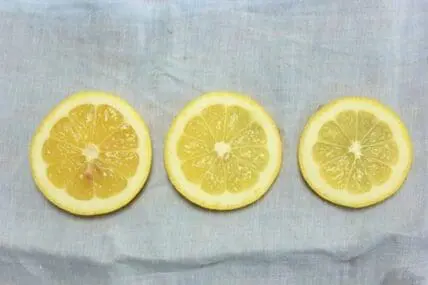 Three lemon slices arranged in a row on a gray cloth surface