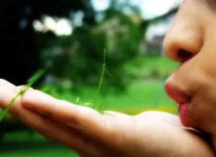 Child blowing grass blade in outdoor garden setting