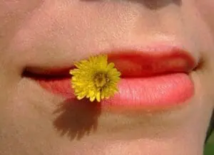 Close-up of full lips with bright red lipstick and a small yellow flower placed on the mouth