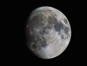 lunar gardening