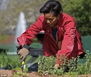 Woman in red jacket gardening with hand tools in vegetable garden