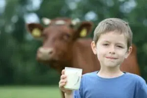 Young boy holding a glass of milk with cow in background