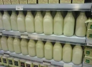 Refrigerated shelves stocked with milk bottles in a grocery store dairy section