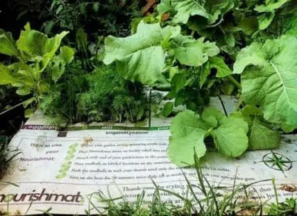 Garden plants growing over an irrigation system guide or instructional mat