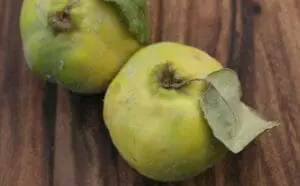 Two fresh quinces with stems and leaves on a wooden surface