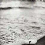 Instagram pics of the ocean and the sun are stunning visual representations of why the Earth is beautiful..