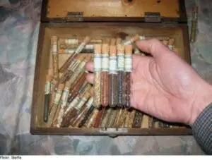 Hand holding vintage seed packets from a wooden storage box
