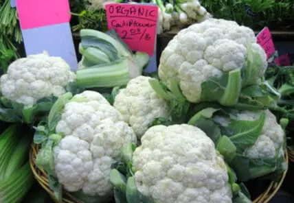 organic food