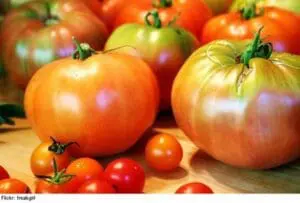 Assorted fresh organic tomatoes on a wooden surface