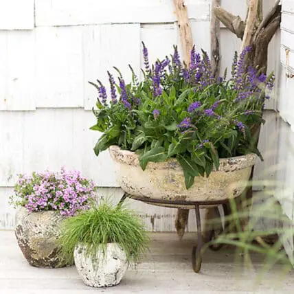 Fun indoor and outdoor planters for your space.
