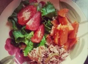 Paleo salad with tomatoes, bell peppers, leafy greens, and shredded protein on a white plate