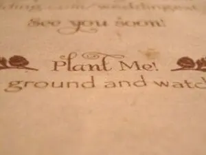 Close-up of plantable seed paper invitation with text "Plant Me!" and decorative floral elements