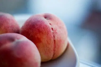 Fresh ripe peaches with fuzzy skin on a white plate