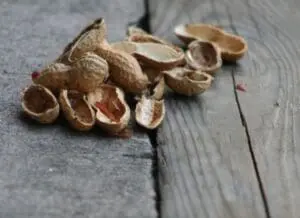 Peanut shells and nuts scattered on a wooden surface