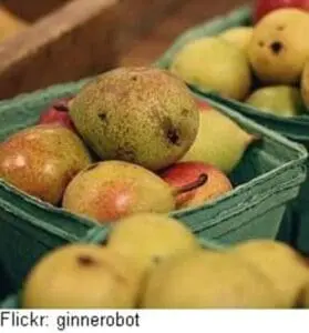 Mixed varieties of pears in cardboard boxes at a farmers market