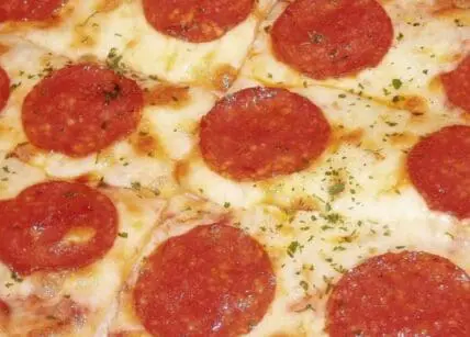 Pepperoni pizza with melted cheese and oregano seasoning