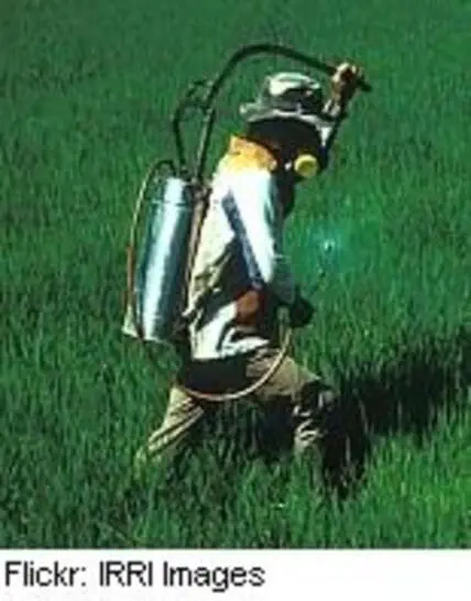Person carrying pesticide sprayer tank on green lawn