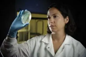 Scientist in white lab coat examining a petri dish culture plate