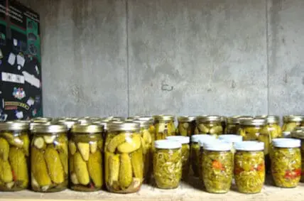 pickles
