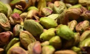 Close-up of raw pistachios in their shells with green and reddish-brown coloring