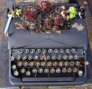 Planters
