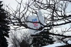Rite Aid sign visible through bare tree branches in winter