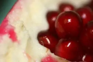 Close-up of pomegranate arils nestled in white pith