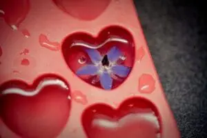 Red heart-shaped ice cube mold with blue flower frozen inside one cavity