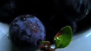 Fresh blueberry with green leaf and stem on white surface