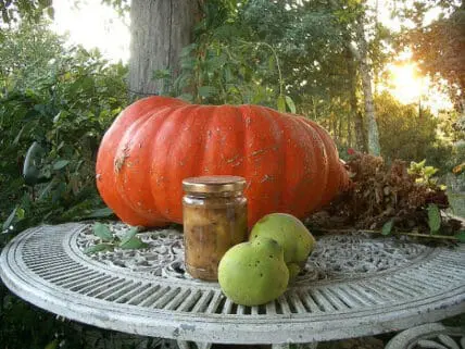 Pumpkin pancakes