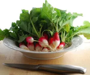 radishes