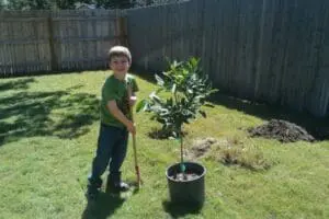 Young child planting a tree in a backyard garden for Earth Day
