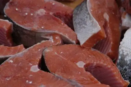 Raw salmon fillets with ice crystals