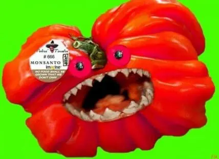 Red bell pepper with Monsanto label and digital teeth against green background