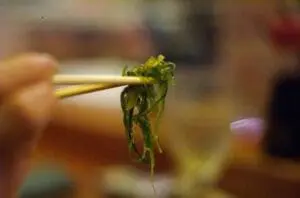 Seaweed held on chopsticks in close-up view