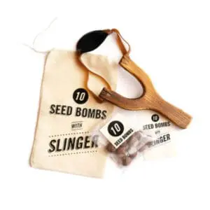 Homemade seed bombs.